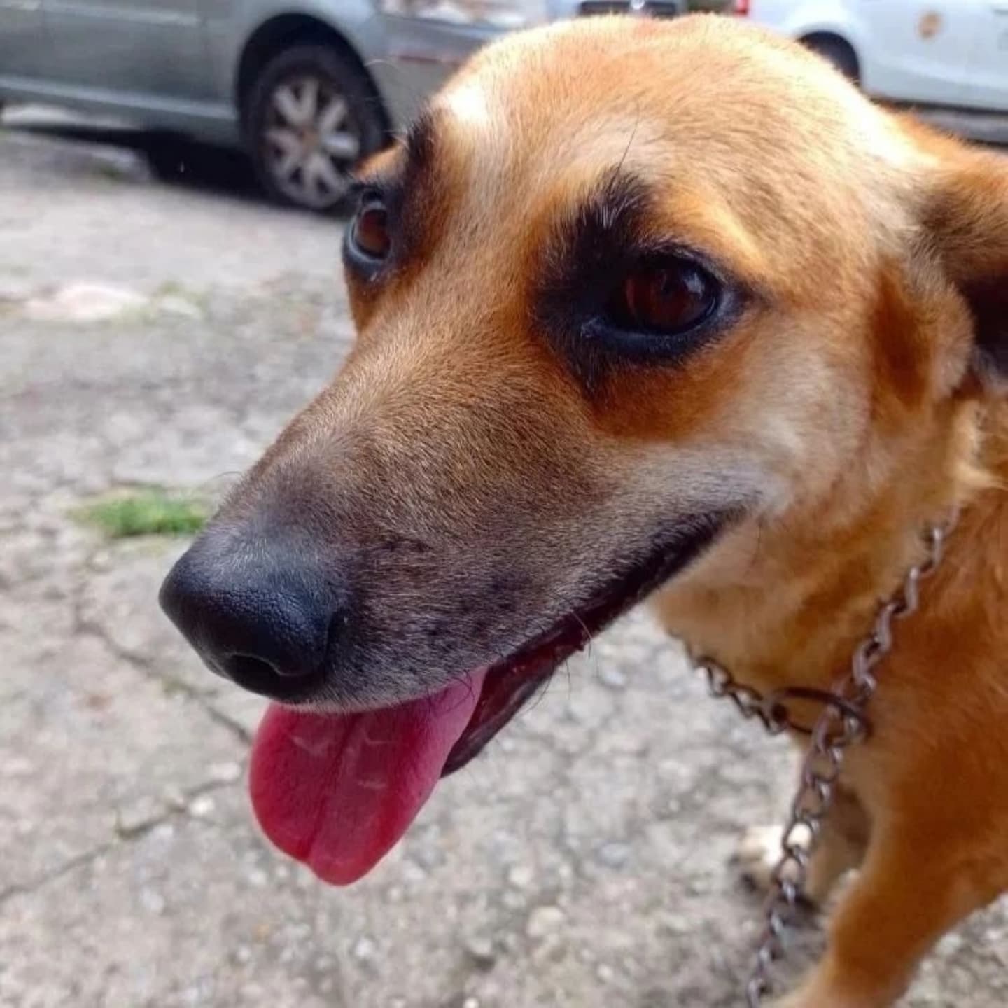 Foto da Laila